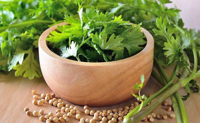 bowl con cilantro