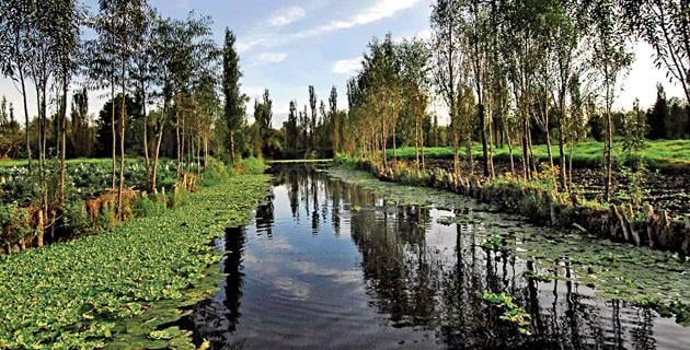 Xochimilco: sus canales y su tradición Xochimilco: sus canales y su tradición