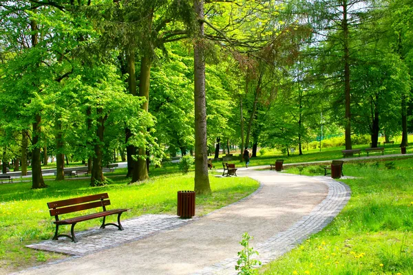 parque Central Benito Juárez