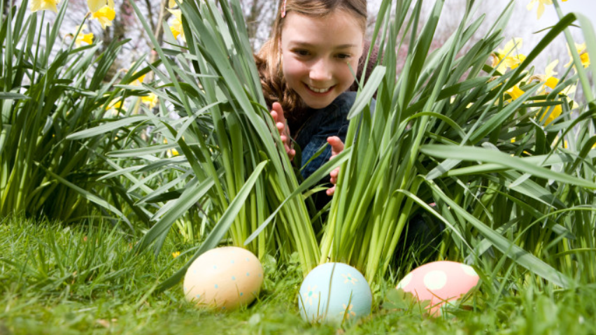 buscando huevos de Pascua