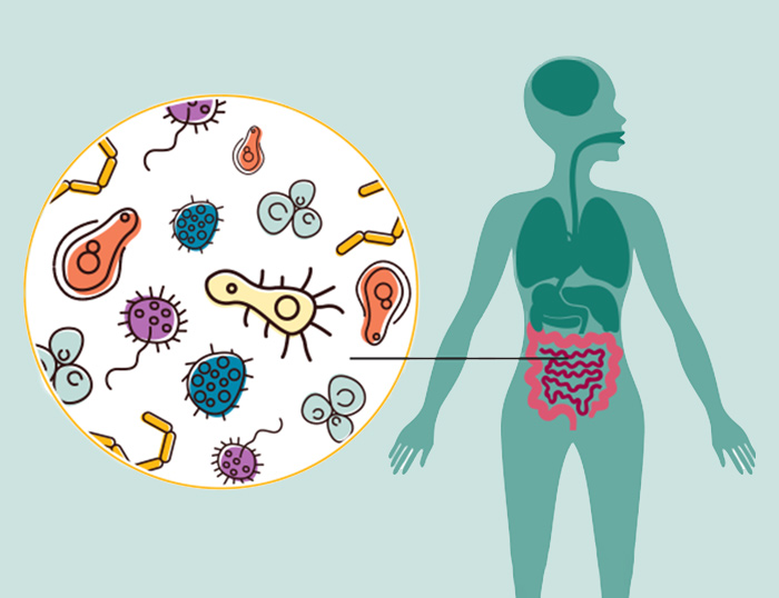 microbiota